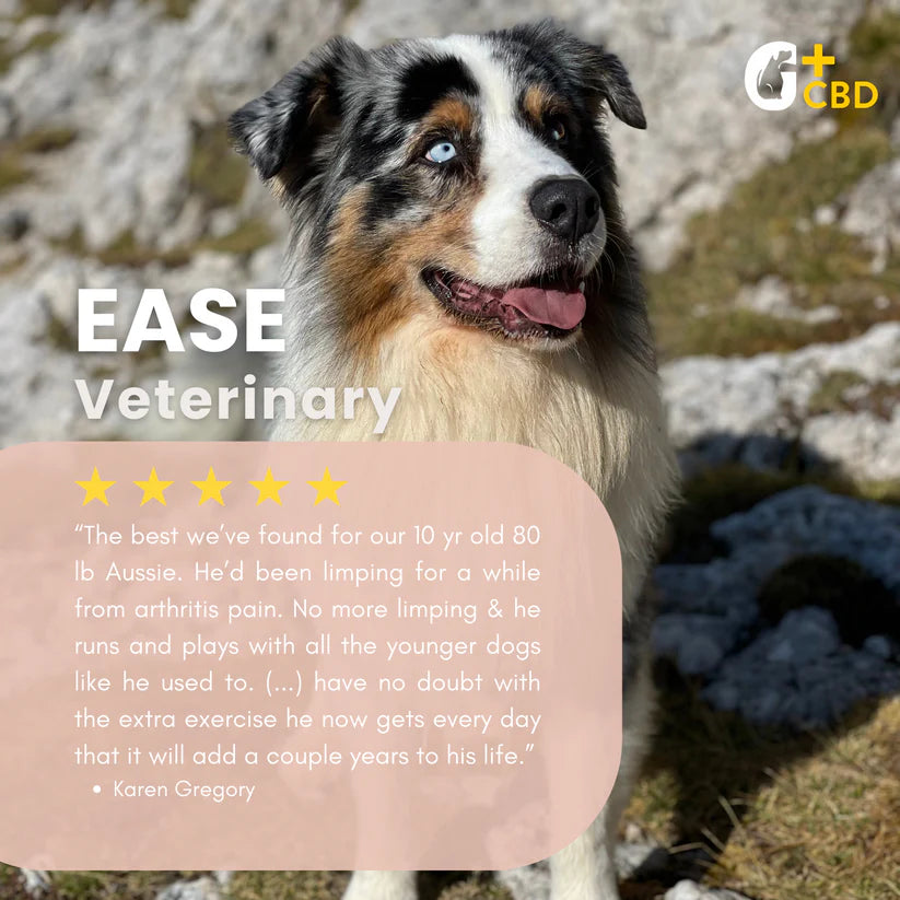 Green Gruff EASE Joint & Hip Veterinary CBD Chews for Dogs – 60ct