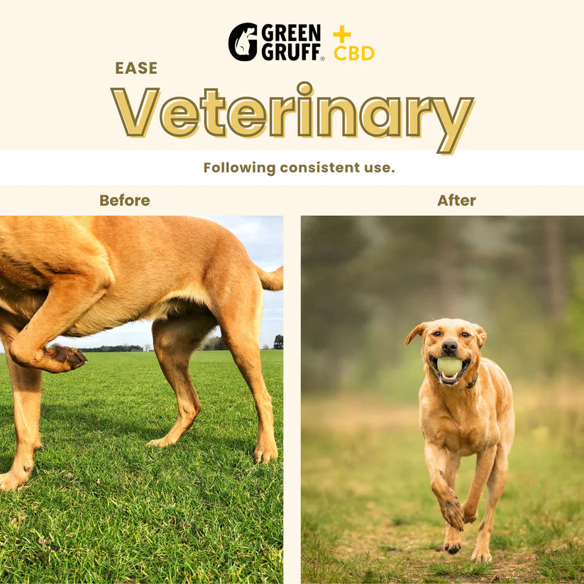 Green Gruff EASE Joint & Hip Veterinary CBD Chews for Dogs – 60ct