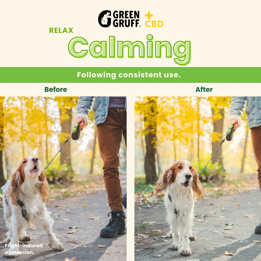 Green Gruff RELAX Calming CBD Chews for Dogs – 90 & 24 Count