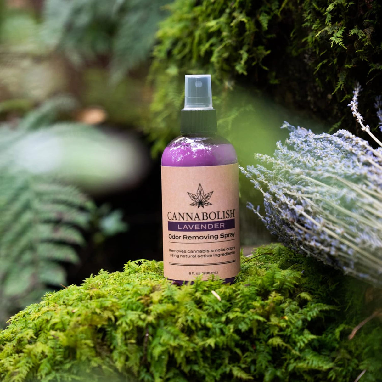 Cannabolish Odor Eliminator Spray & Air Freshener