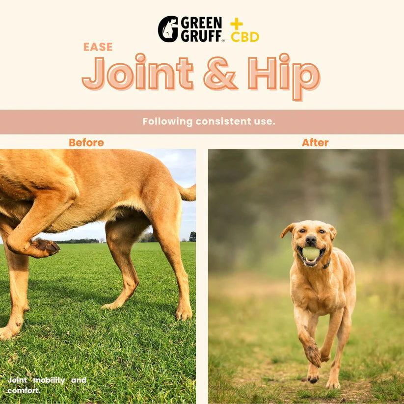 Green Gruff CBD Ease Joint & Hip Chews for Dogs - 90 & 24 Count