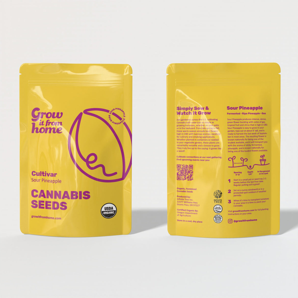 Feminized Hemp Seeds for CBD & CBD/THC Flower – Grow It From Home