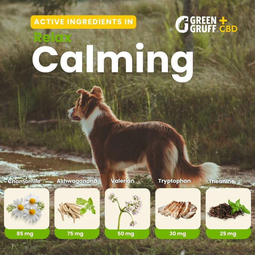 Green Gruff RELAX Calming CBD Chews for Dogs – 90 & 24 Count