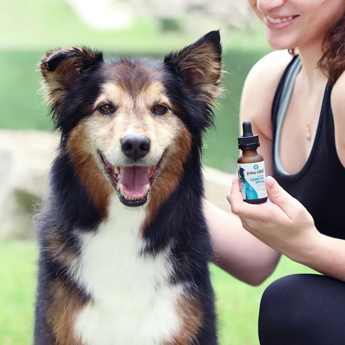 paw cbd Broad Spectrum CBD Oil for Dogs - Peanut Butter | 30 ml