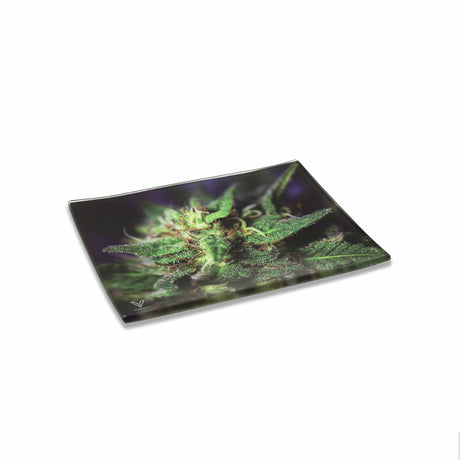 V Syndicate Blue Dream Glass Rollin' Tray - Medium