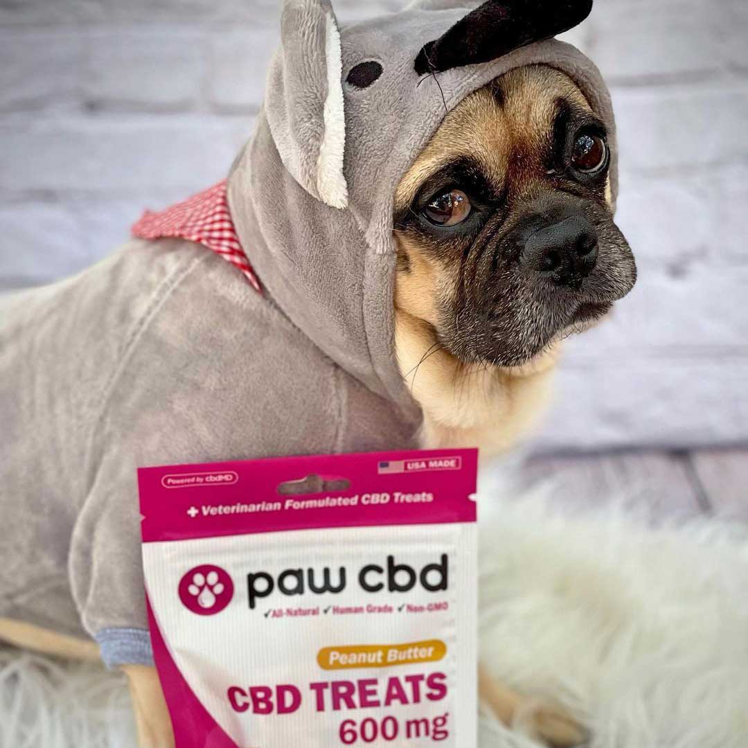 paw cbd Broad Spectrum CBD Dog Hard Chews & Treats ā Peanut Butter | 30 Count