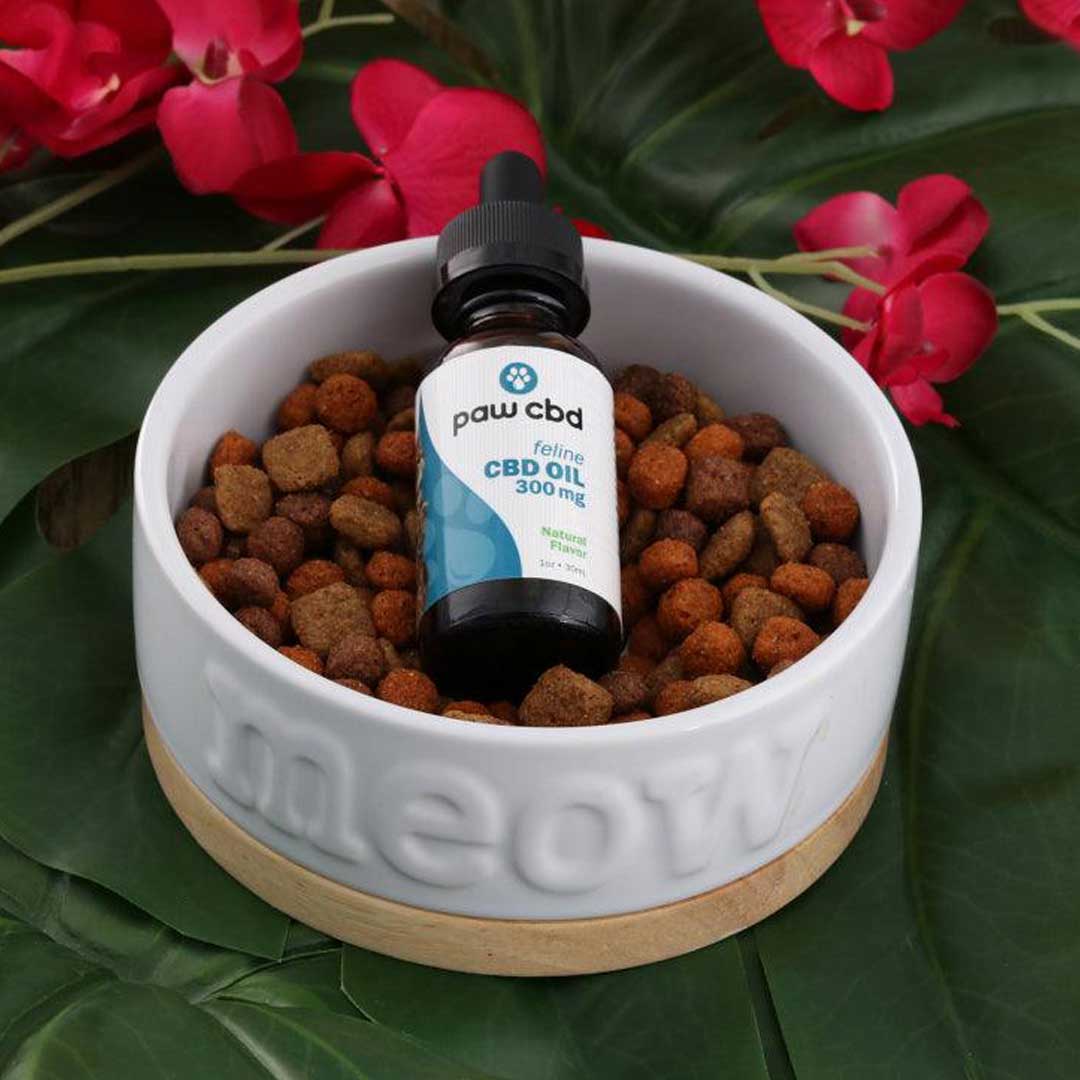 paw cbd Broad Spectrum CBD Cat Oil Tincture - Catnip Flavor | 30 ml (300mg)