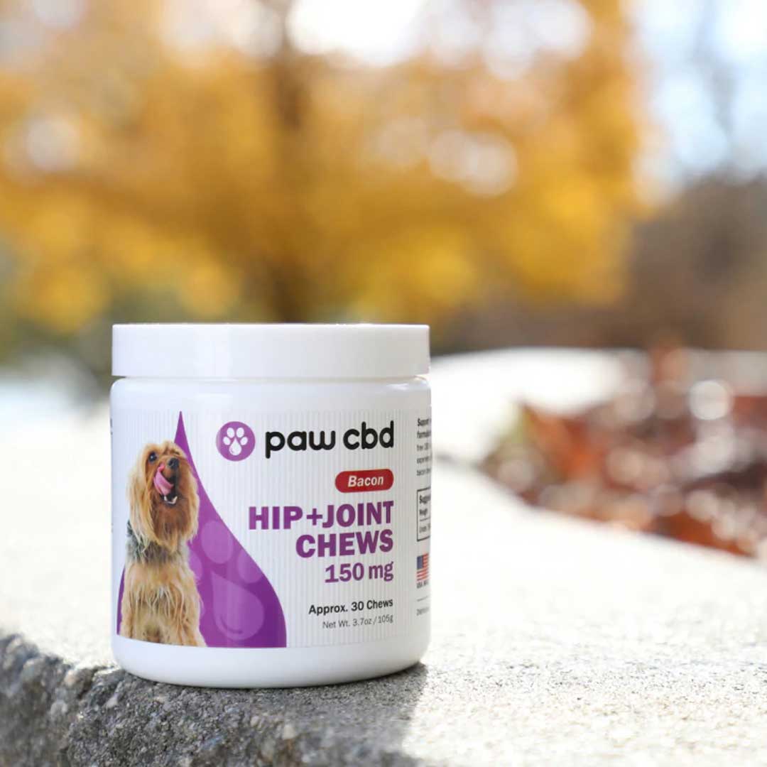 paw cbd Broad Spectrum CBD Dog Treats ā Hip + Joint Soft Chews ā Bacon | 30 Count