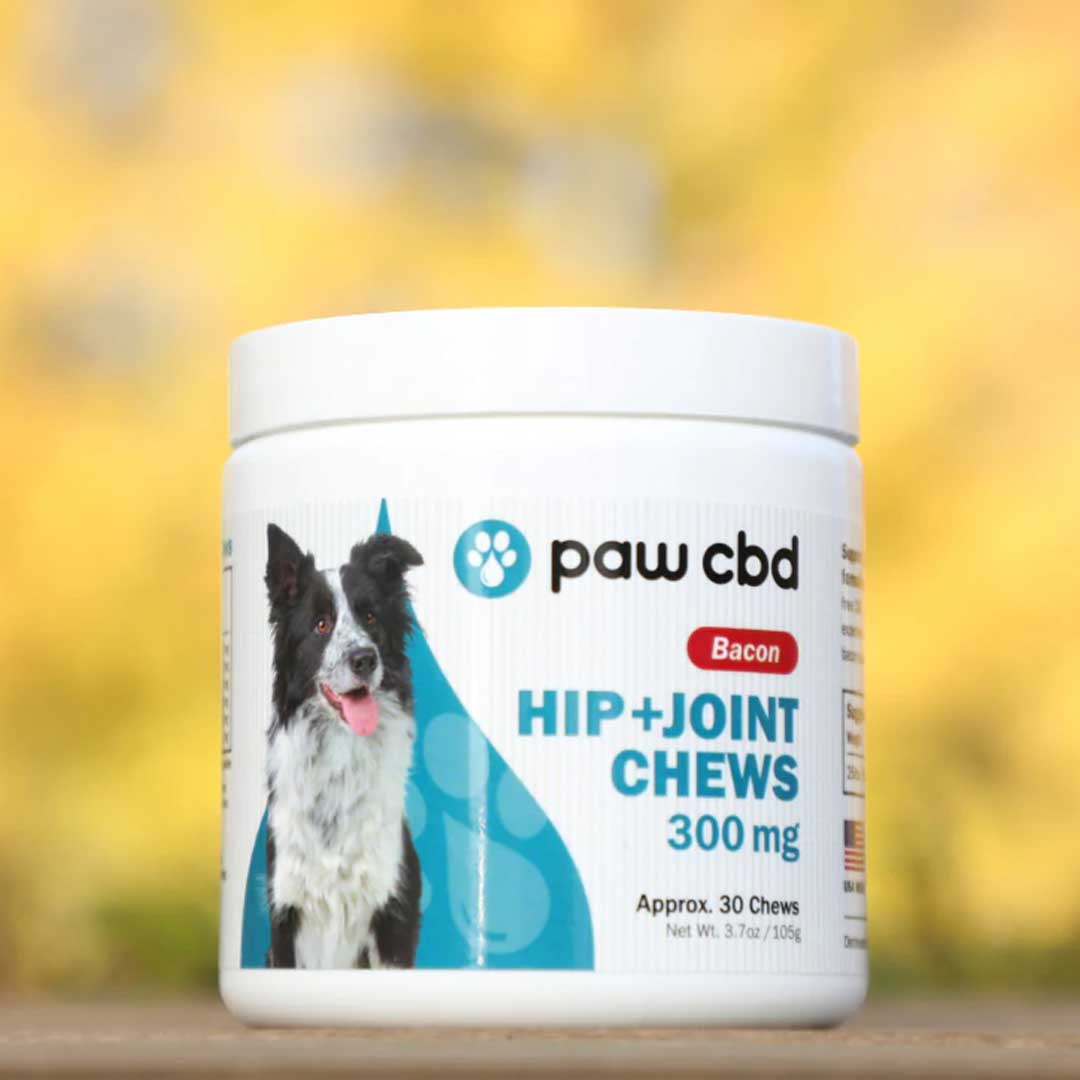 paw cbd Broad Spectrum CBD Dog Treats ā Hip + Joint Soft Chews ā Bacon | 30 Count