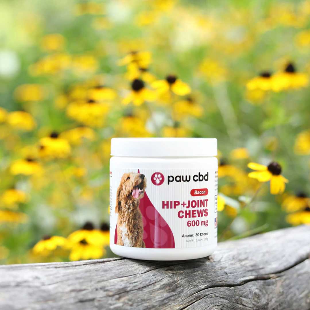 paw cbd Broad Spectrum CBD Dog Treats ā Hip + Joint Soft Chews ā Bacon | 30 Count