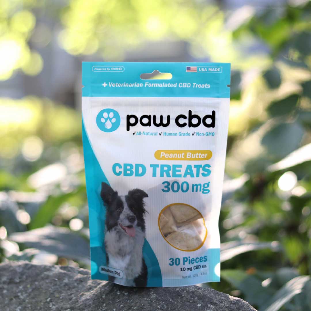paw cbd Broad Spectrum CBD Dog Hard Chews & Treats ā Peanut Butter | 30 Count
