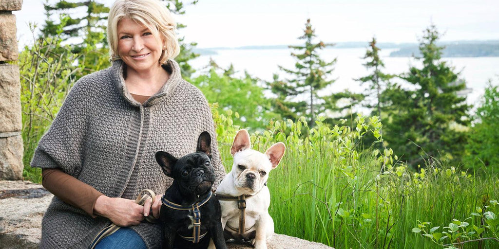 Martha Stewart, Wine & The Humane Society for animal rescue - Green Bee Life