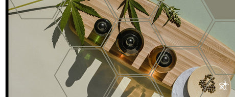 CBD Products - Green Bee Life