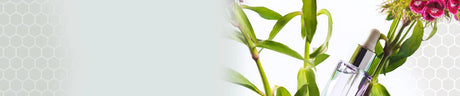 cbdMD Botanical Skin Care Set<br><small><strong>Special Savings!</strong></small> - Green Bee Life
