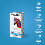 VetCBD Hemp Tincture for Equines - Broad Spectrum  | Unflavored | 3000 mg | 60 ml
