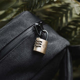 The Luggage Lock