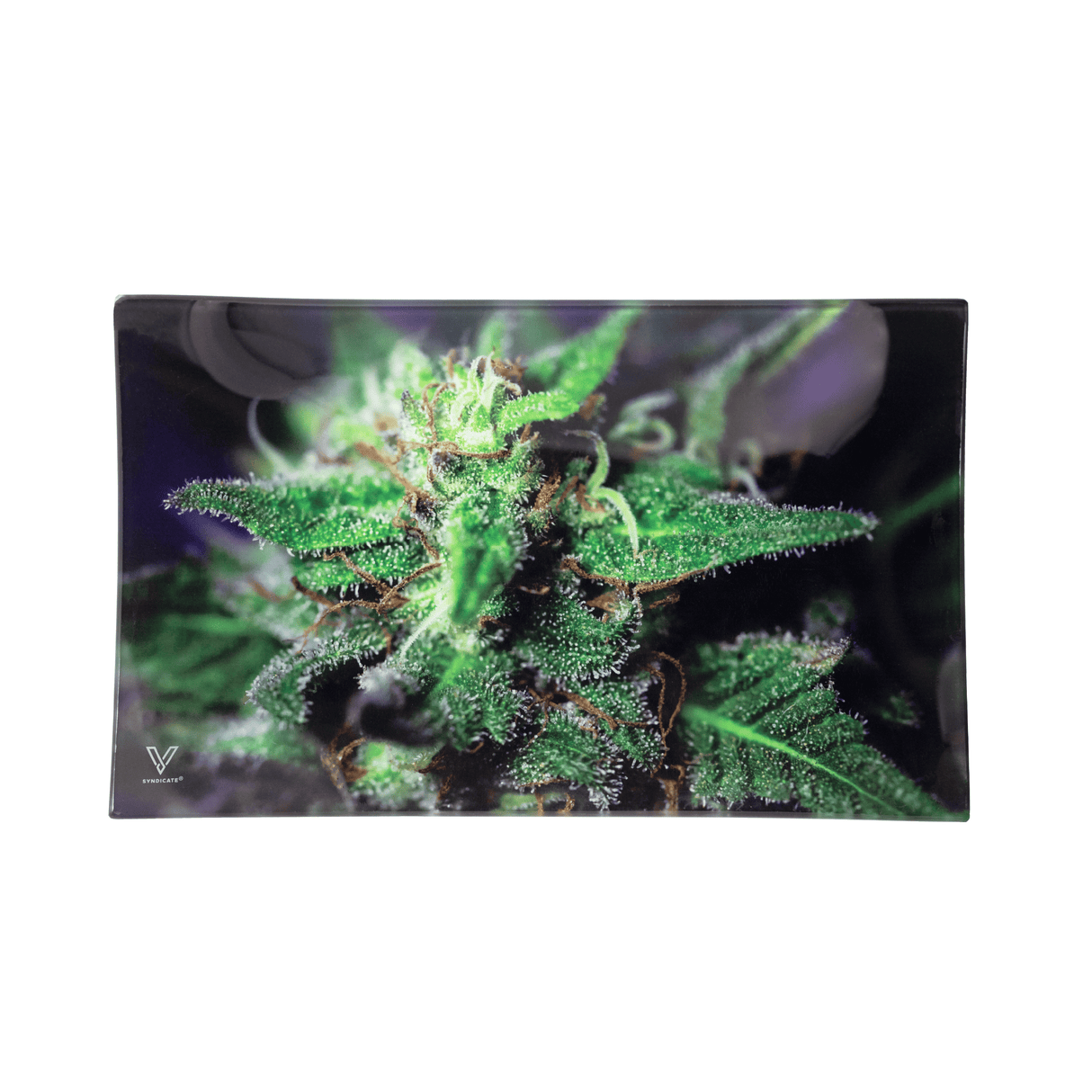 Blue Dream Glass Rollin' Tray
