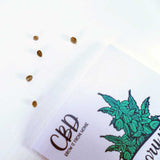 Feminized Hemp Seeds for CBD & CBD/THC Flower – Grow It From Home