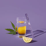 HOLISTIK Wellness CBD Drink Mix - Stress Stir STIK - 10mg