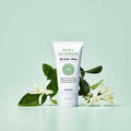 Martha Stewart CBD Daily De-Stress Cream – showcasing a daily wellness routine for stress relief and relaxation