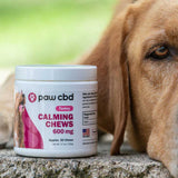 paw cbd Broad Spectrum CBD - Calming Dog Soft Chews Treats - Turkey Flavor | 30 Count