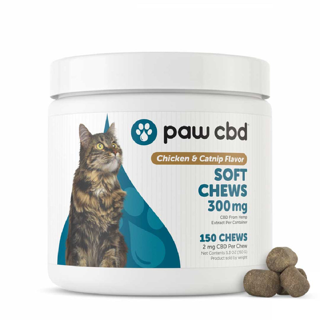 paw cbd Soft Chew CBD Treats for Cats - Chicken & Catnip | 150 Count