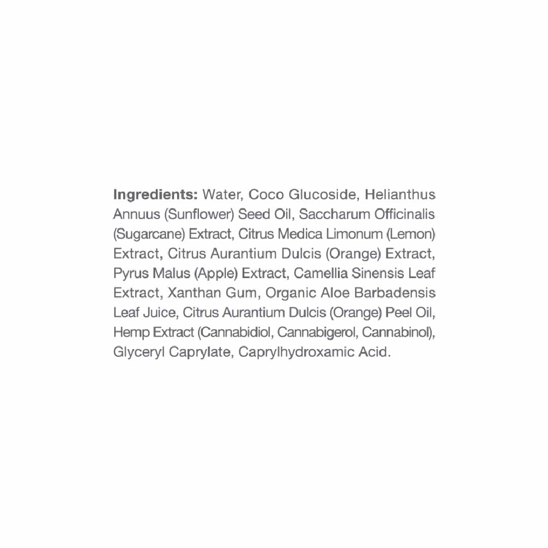 cbdMD Botanicals Exfoliating Facial Cleanser - 500 mg | 8 oz