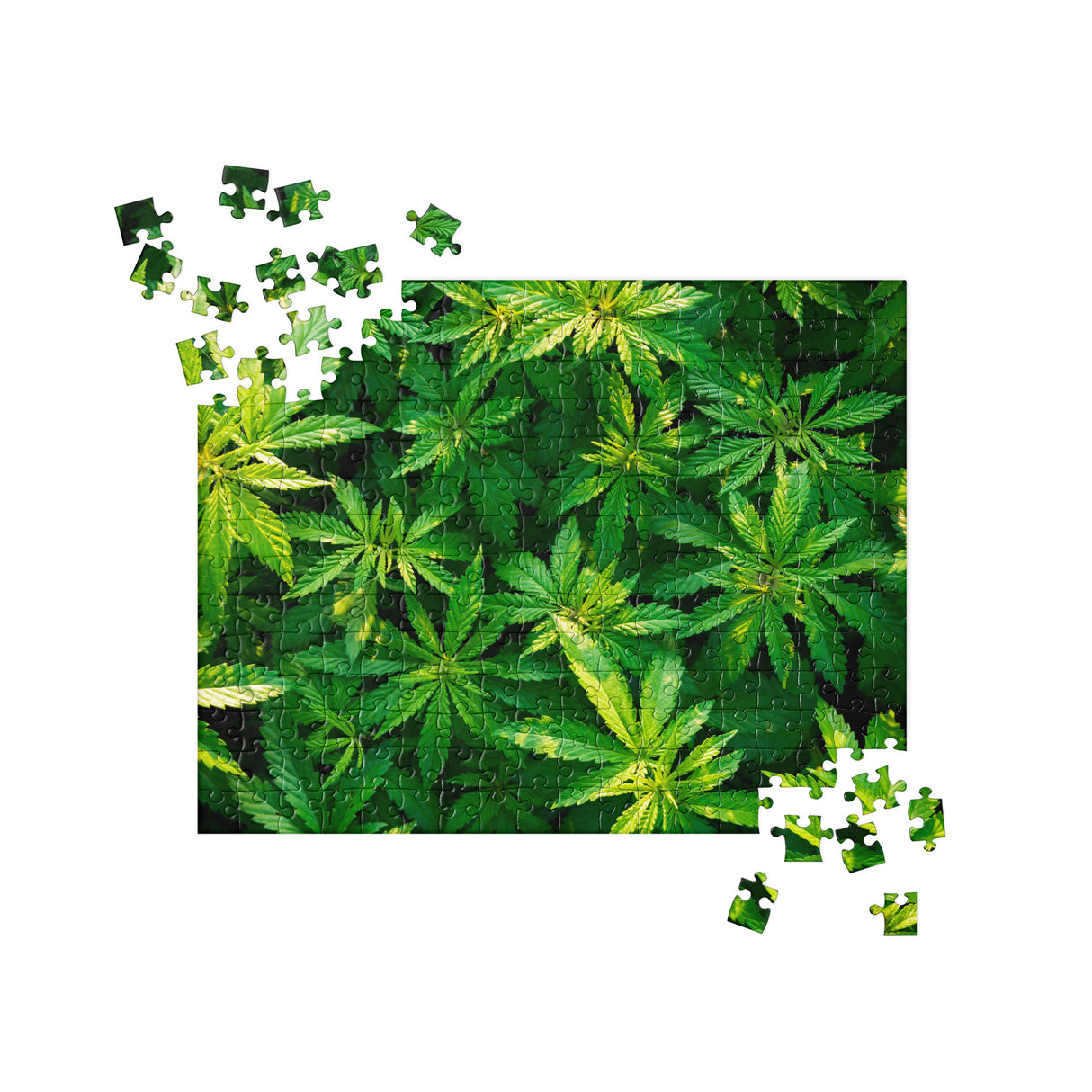 Marijuana Jigsaw Puzzle - Hemp Leaves