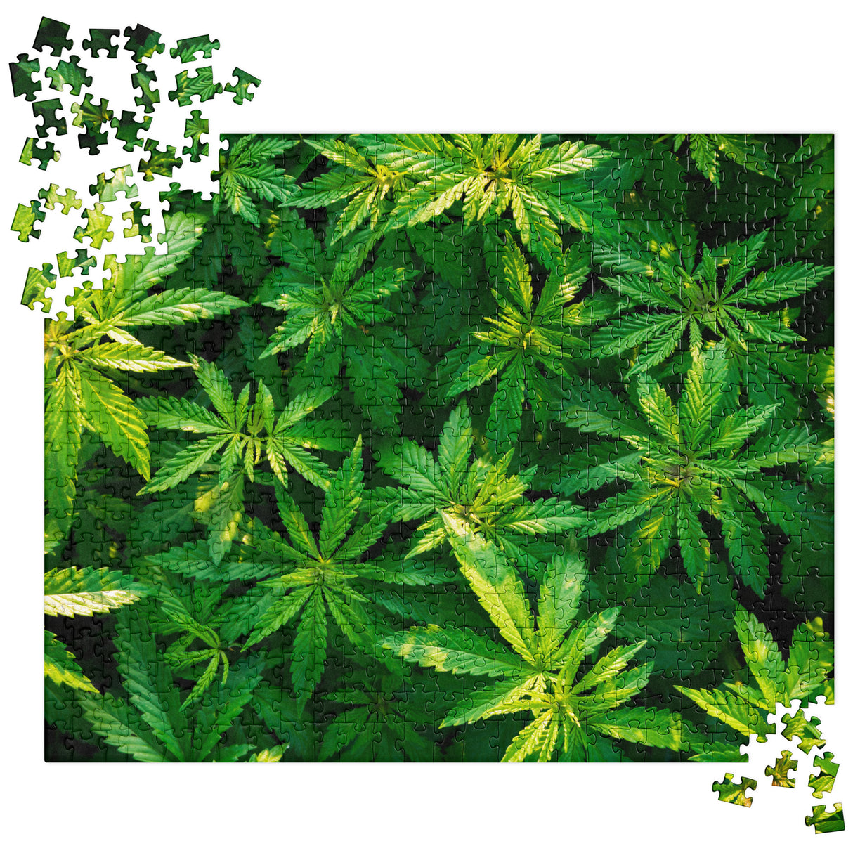 Marijuana Jigsaw Puzzle - Hemp Leaves