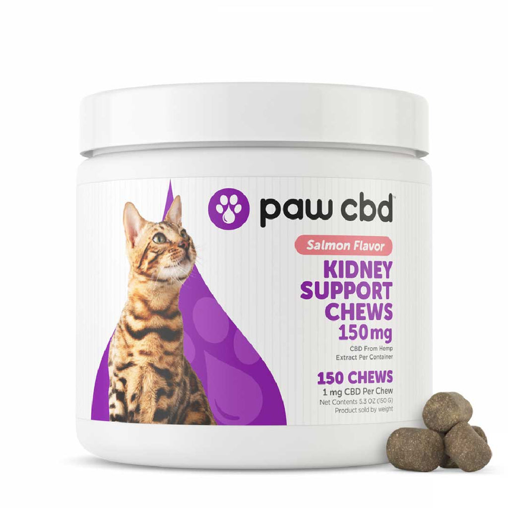 paw cbd Kidney Support Soft Chew CBD Treats for Cats - Salmon | 150 Ct