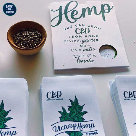 Feminized Hemp Seeds for CBD & CBD/THC Flower – Grow It From Home